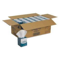 Georgia Pacific Professional 48560 2-Ply Ultra Premium Facial Tissue - White (30-Piece/Carton, 125-Sheet/Box)