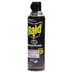 Raid 668006 14 Oz. Wasp And Hornet Killer (12/Carton)